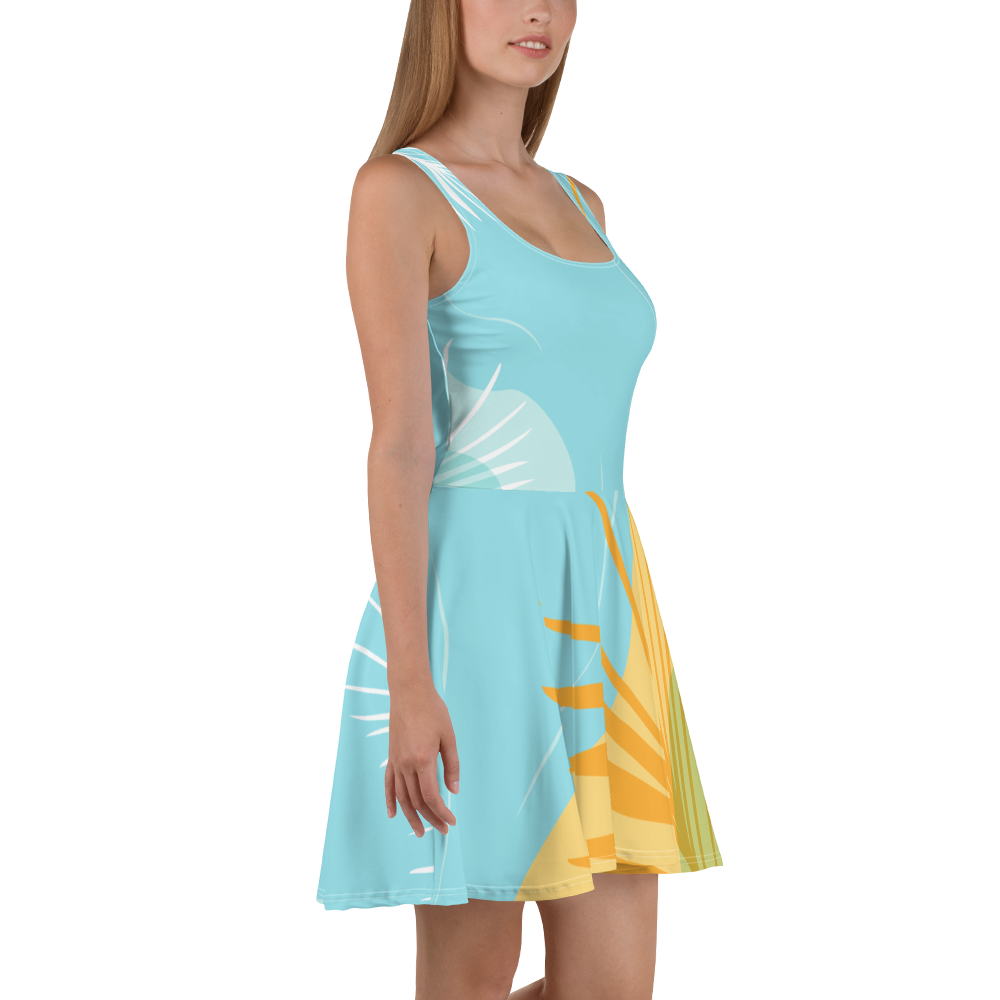 Premium Skater Dress