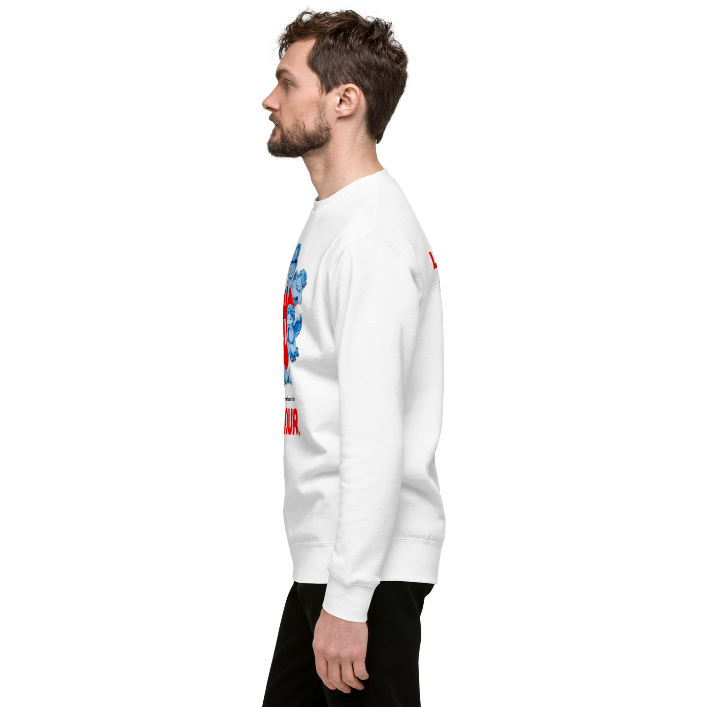 Essential Stylish Crewneck Premium Sweatshirt with "AMOUR" motif